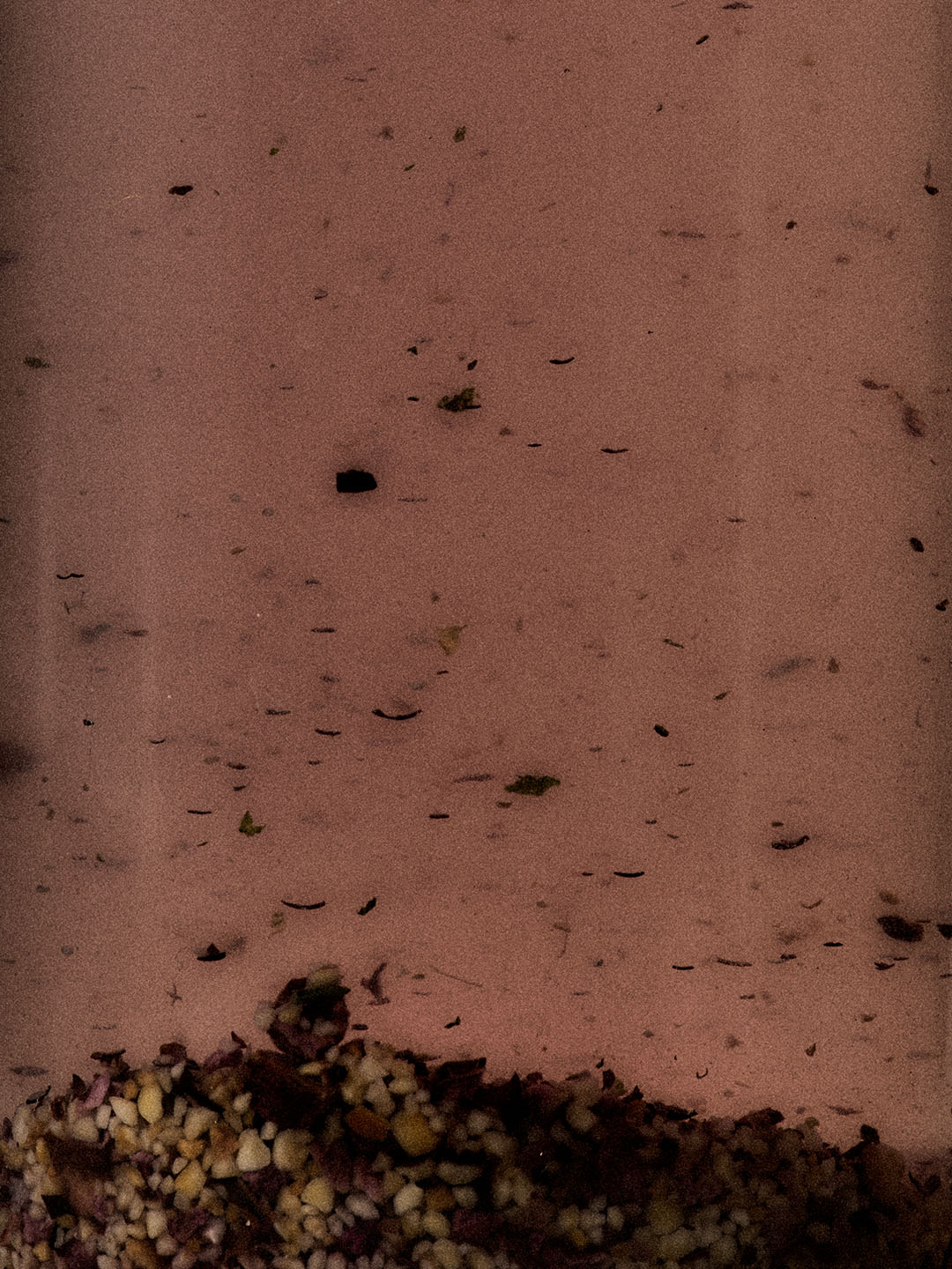 12월 22일 밤도깨비 놀이 [3 Tea bags] image number 2